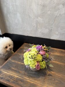 ドッグカフェ　三浦市