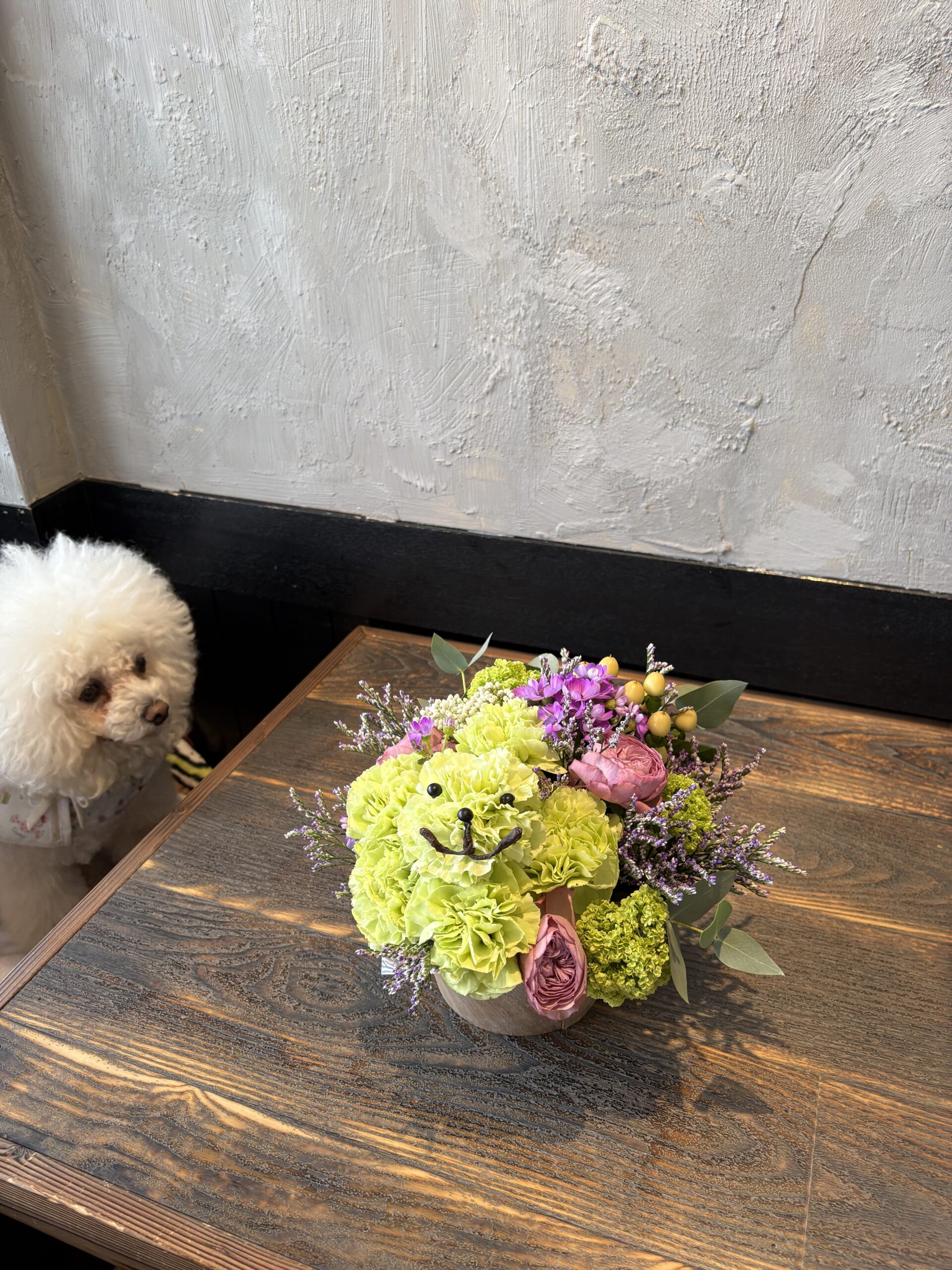 ドッグカフェ　三浦市