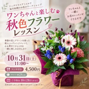ドッグカフェ　三浦市　アミエル