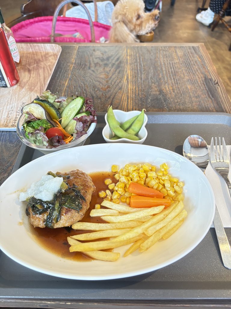 手ごねハンバーグ ランチ 三浦市ランチ